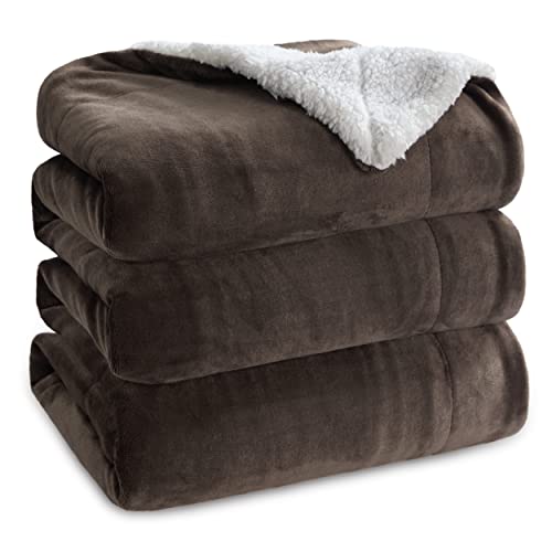 05 - Brown