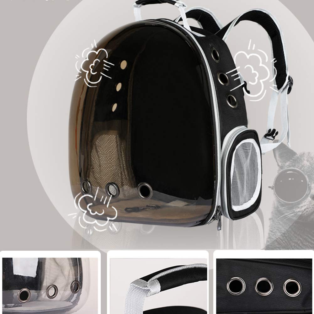 Cat Bubble Backpack Carrier - Airline Approved for Travel & Hiking
