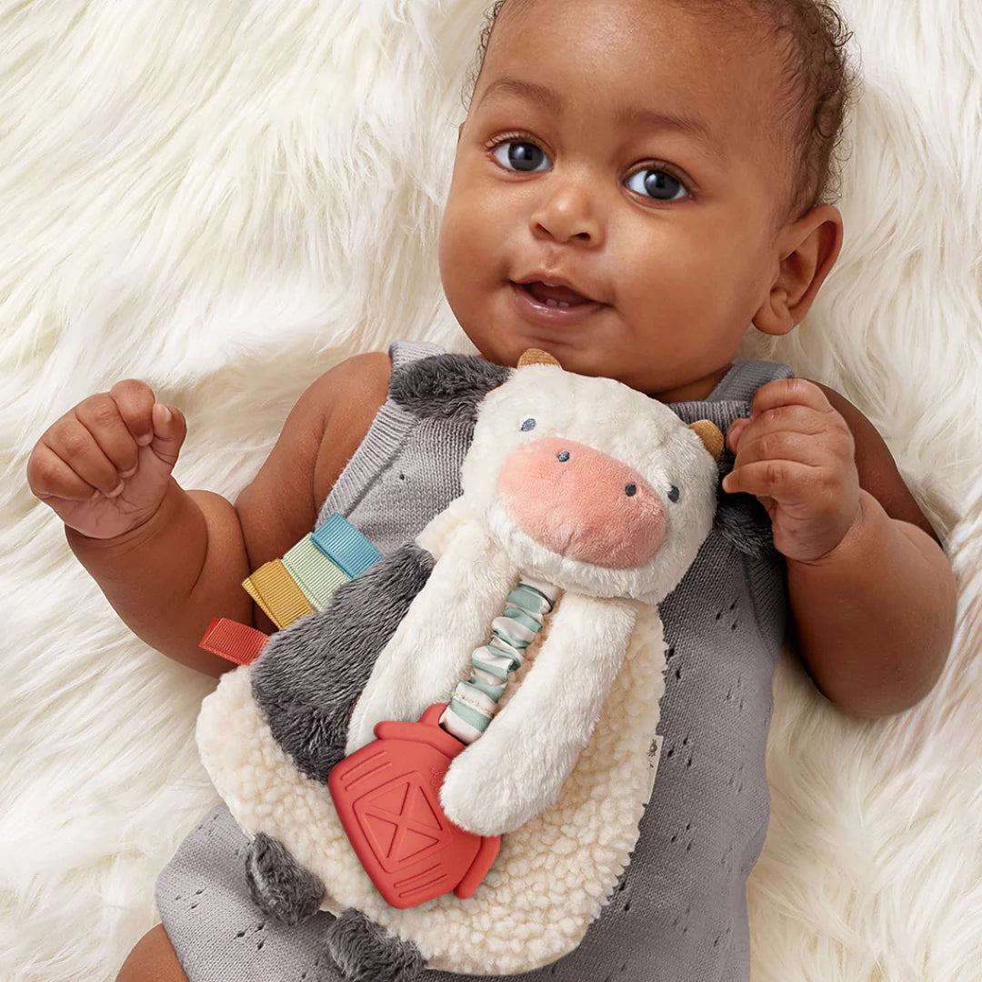 Itzy Ritzy Lovey Plush and Teether Toy - Soft Baby Security Blanket with Teething Ring, Cute Animal Plushie for Infants & Toddlers - Perfect for Soothing, Playtime, and Travel Comfort