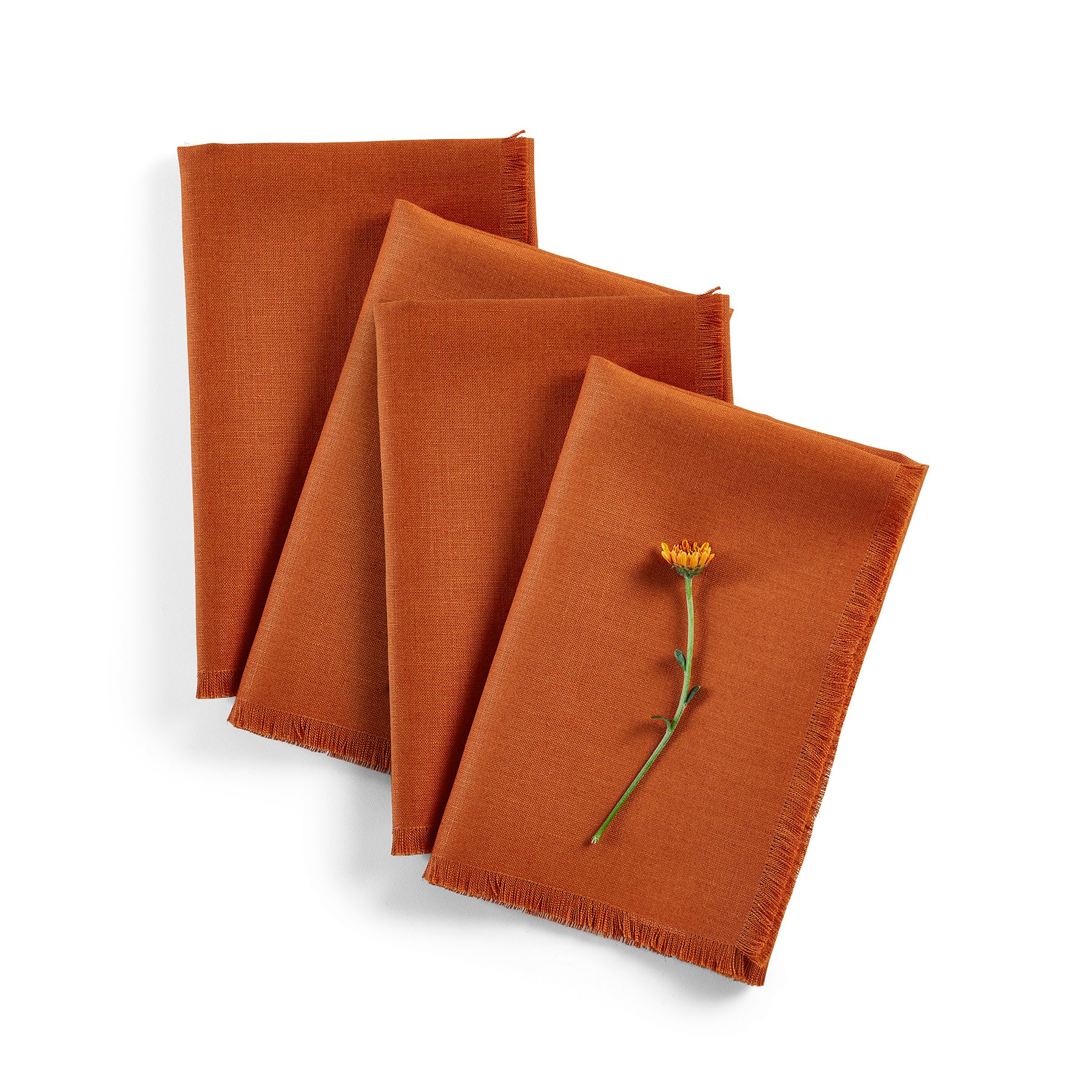 Elegant Fringe Napkins Set of 4 - Premium Cotton Decorative Table Linens for Dinner Parties, Weddings & Home Decor