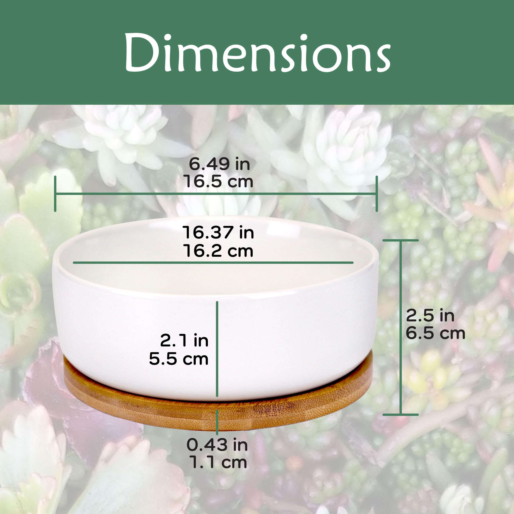 BambooMN White Ceramic Succulent Planter Pot with Bamboo Tray - 6.49 Inch Round Bowl Style - Perfect for Home Decor, Office Desk, and Indoor Plants