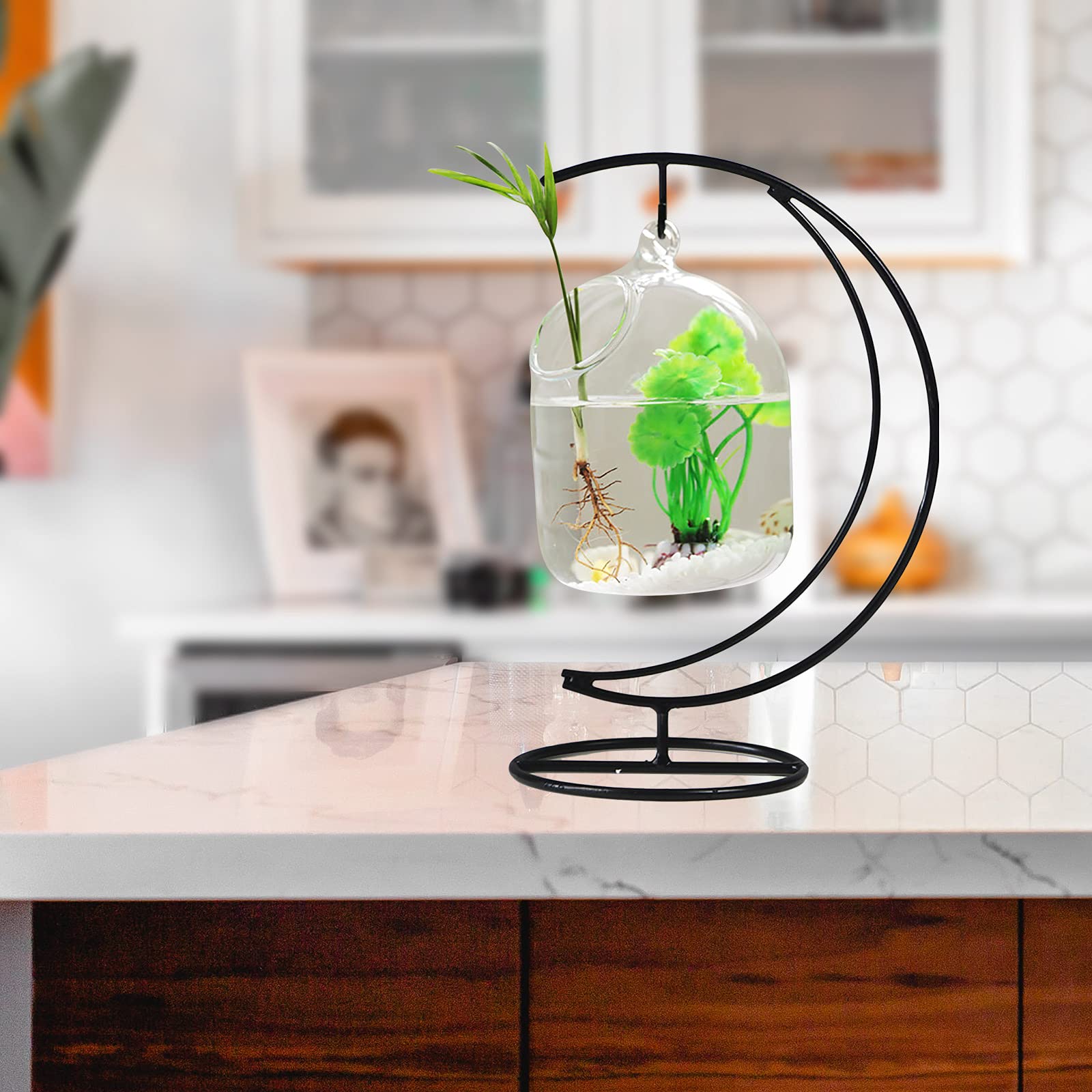 Small Hanging Glass Fish Tank with Stand - Mini Aquarium Bowl for Betta Fish, Clear Plant Terrarium | Perfect for Home, Office Desk Decor & Zen Relaxation Spaces