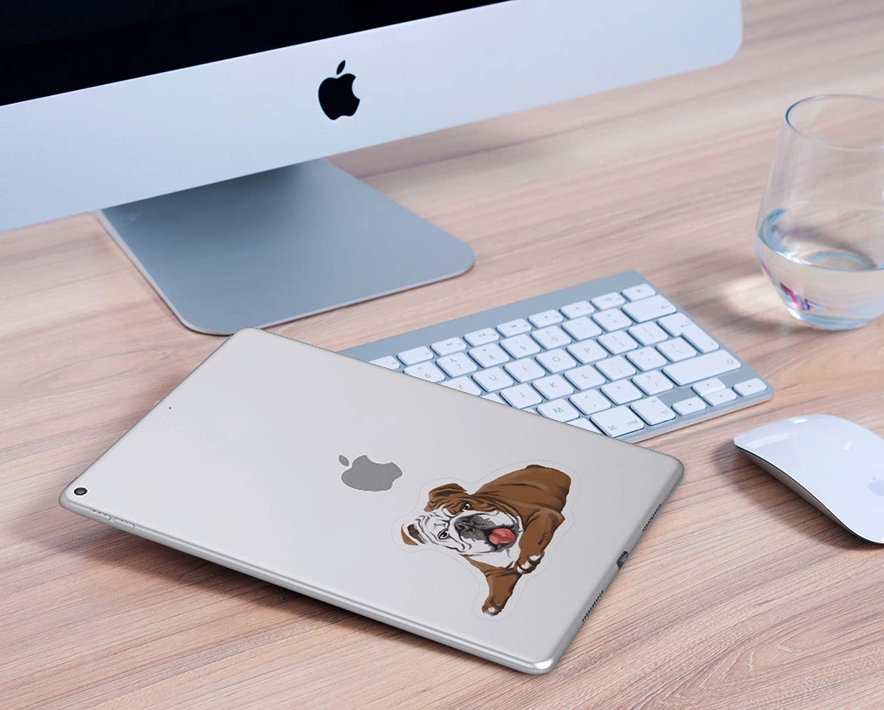 Set of 2 Lying English Bulldog Vinyl Decal Stickers - 5x5 Inch Removable Wall Art for iPad, MacBook, Laptop, Car, Window - Perfect for Home, Office & School Decor