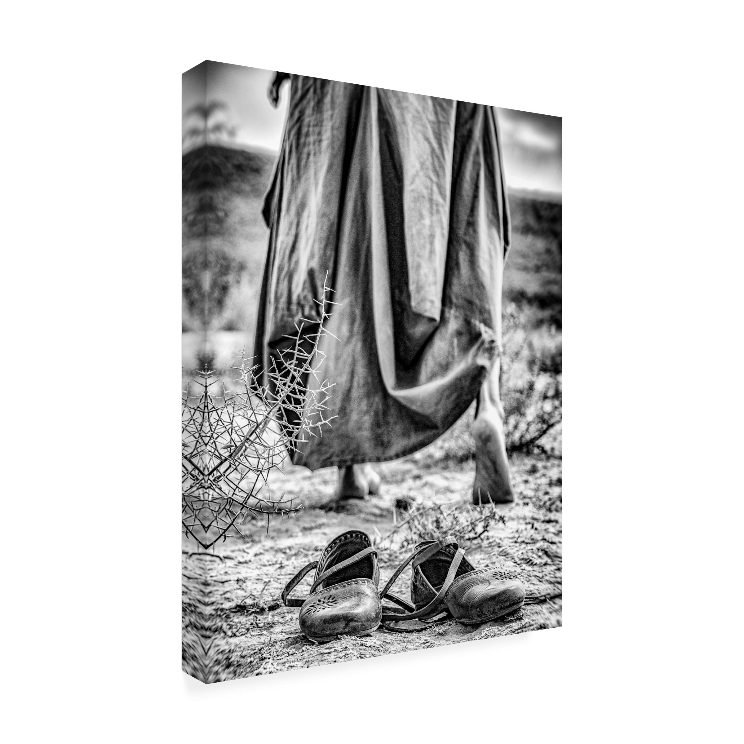 Trademark Fine Art 'Passenger' Canvas Wall Art by Afshin Saeidinia - Modern Home Decor for Living Room, Bedroom & Office