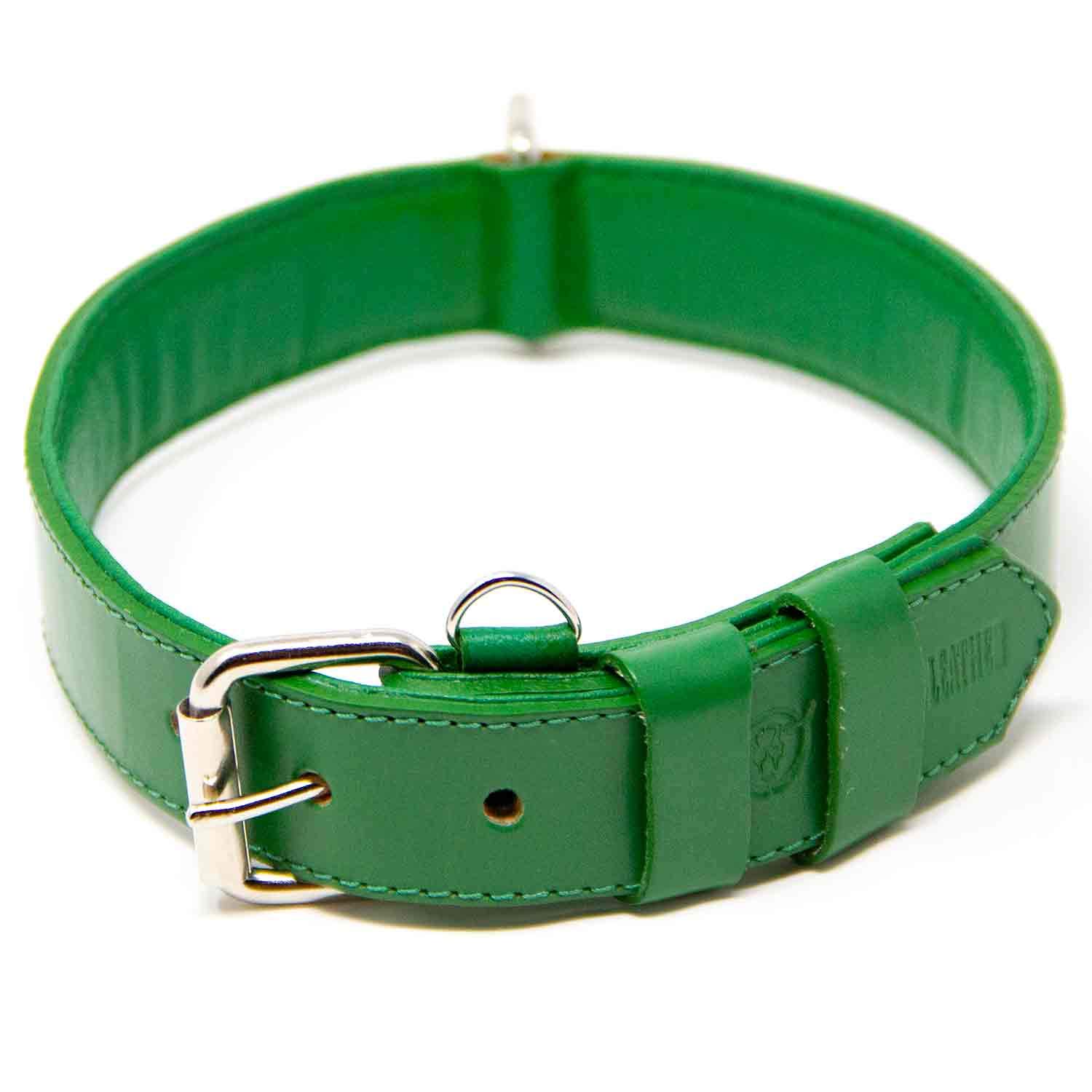 Premium Full Grain Leather Dog Collar for Large Dogs - Padded Comfort, Durable & Adjustable (Green, Large) | Perfect for Daily Walks, Training & Outdoor Adventures