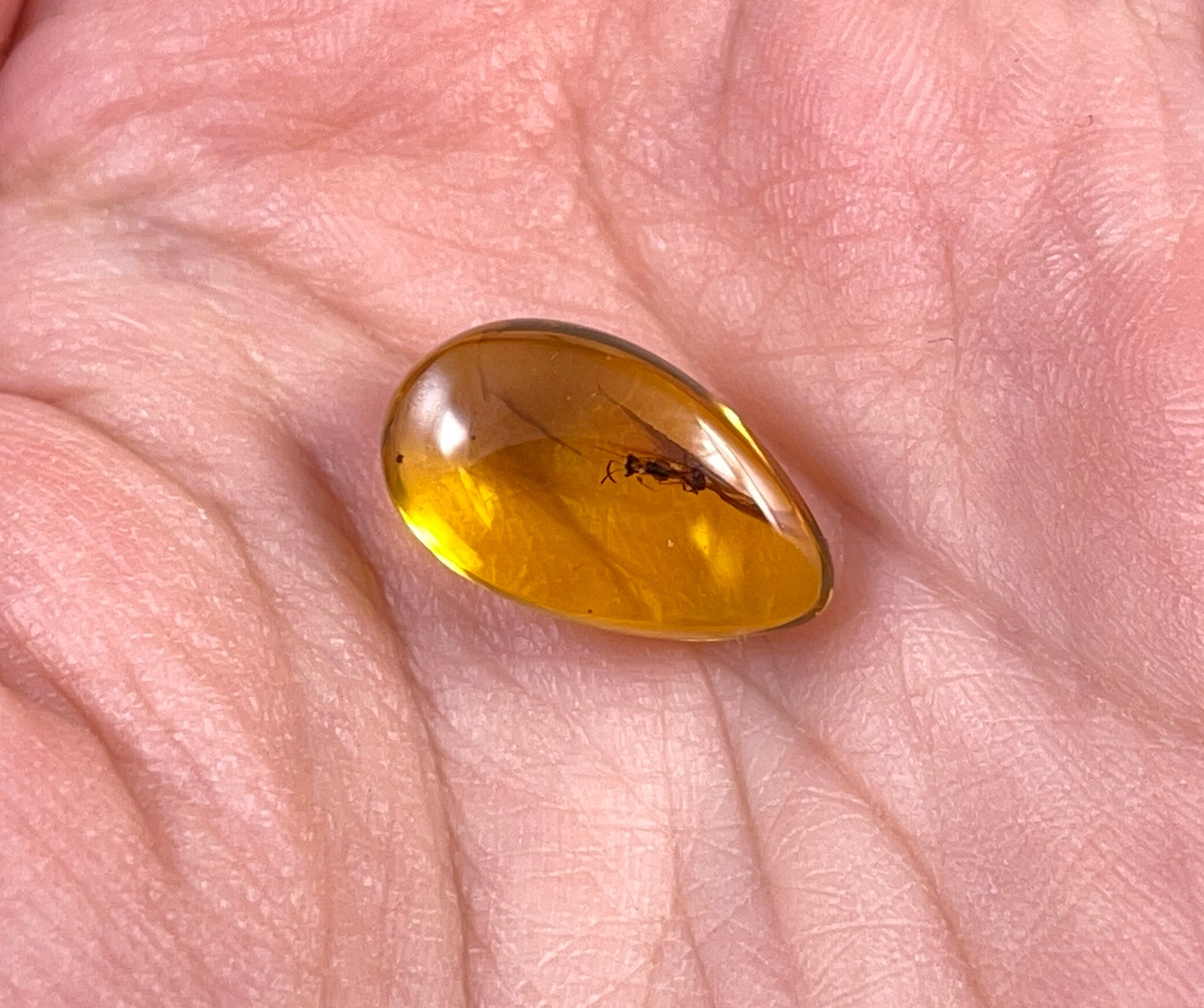 Real Fossil AMBER Stone with Insect Inclusion - Natural Tumbled Crystals & Healing Stones for Jewelry Making, Meditation & Home Decor (52762)