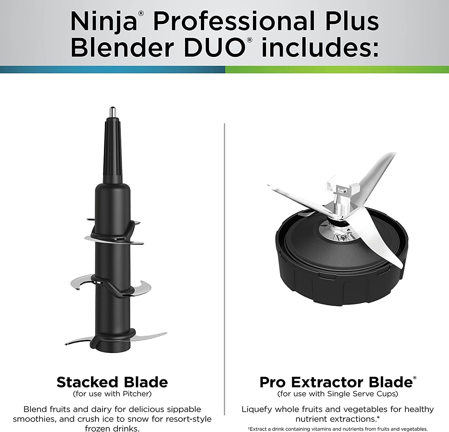 Ninja BN751 Professional Plus DUO Blender - 1400W High-Power Blender with 3 Auto-IQ Programs for Smoothies, Frozen Drinks & Nutrient Extraction - Includes 72oz Crushing Pitcher & 2x 24oz Travel Cups - Perfect for Home Kitchen, Smoothie Bars & Healthy Meal Prep (Black)