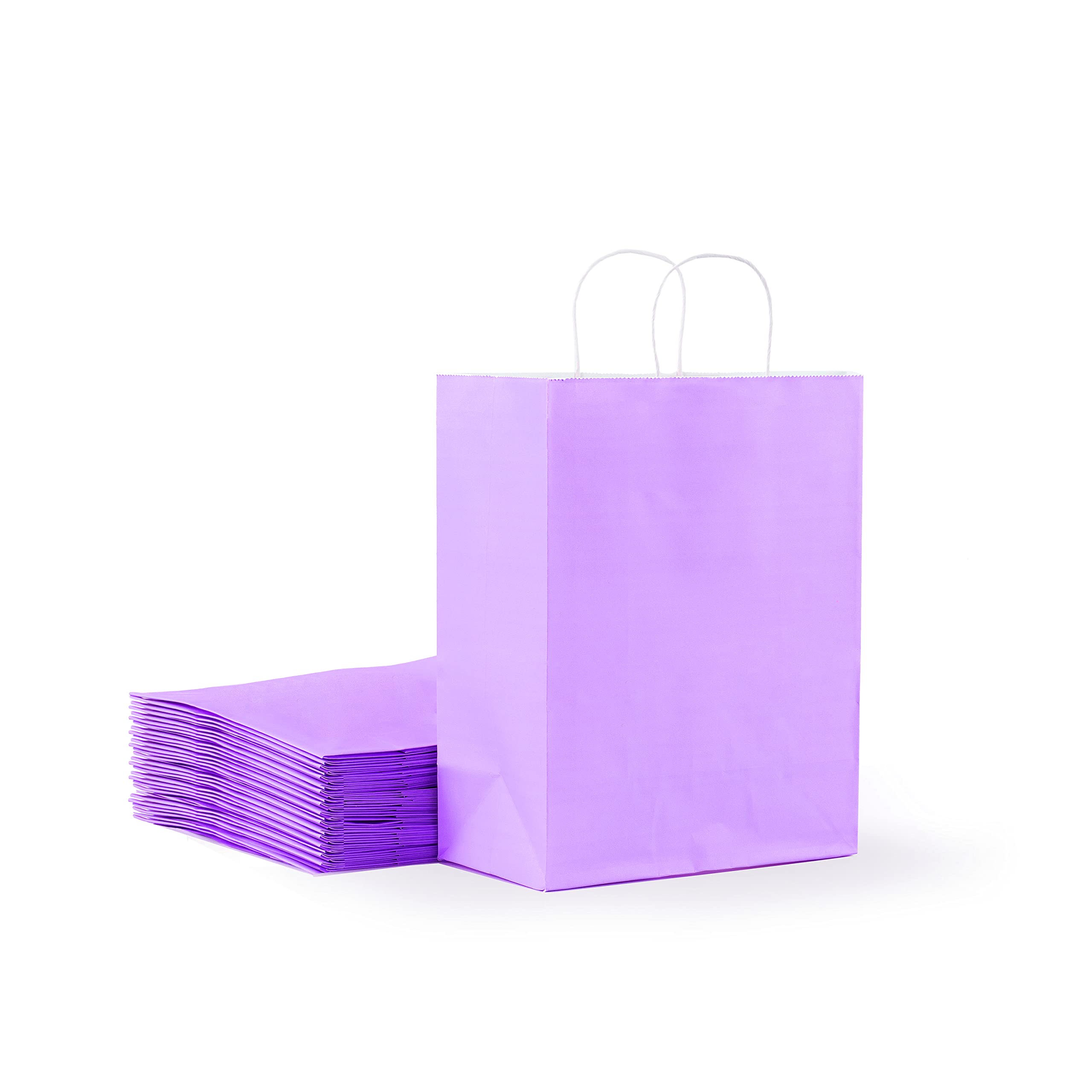 12 Pack Purple Gift Bags with Handles 8.5x4.5x10.5 Inch - Bulk Merchandise Bags for Retail, Party Favors, Wedding Favors & Birthday Gifts | Elegant Packaging for Boutique Stores, Bridal Showers & Special Events