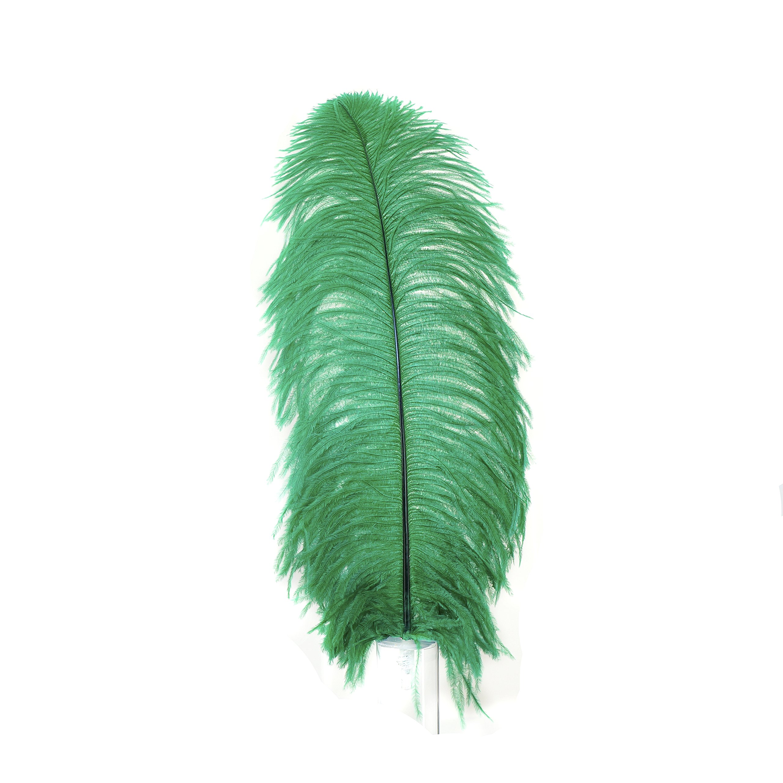 Premium Ostrich Feathers for Wedding Centerpieces & Home Decor - 25pcs 17-25