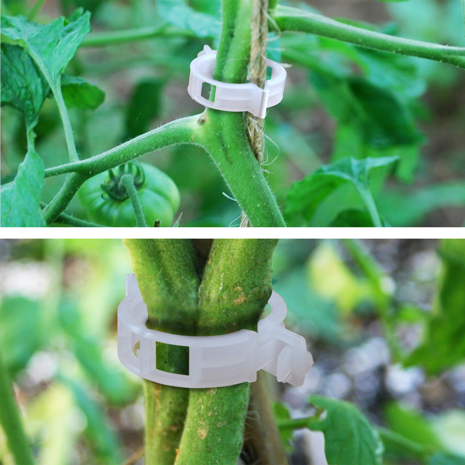 BenefitUSA 25mm Garden Clips - Tomato Trellis Clips for Vine Support, Plant Clips for Vegetables, Tomatoes, and Upright Growth (400 Pack) - Perfect for Home Gardening, Greenhouses, and Vertical Farming