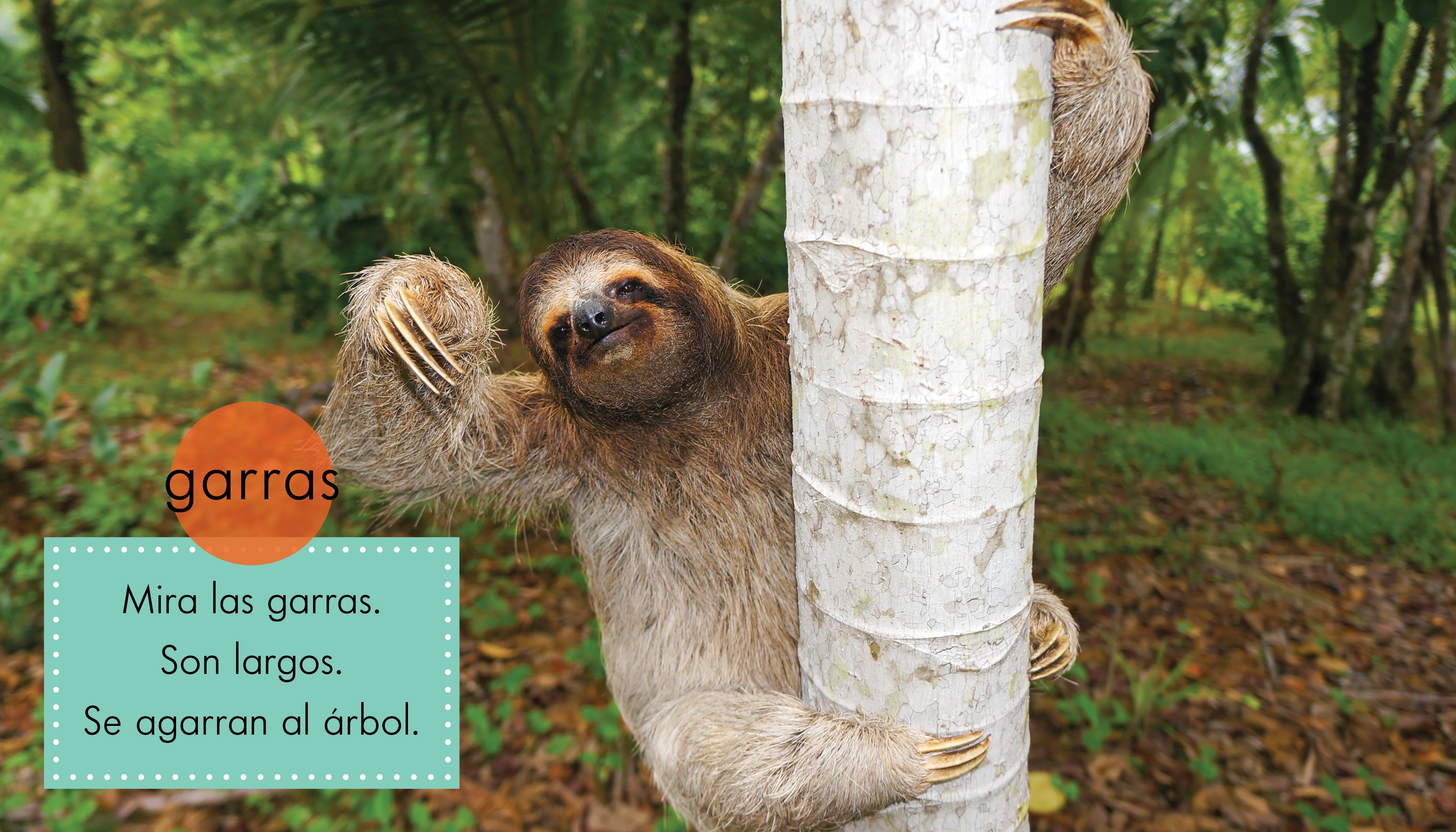 Sloth Plush Toy - Soft & Cuddly Stuffed Animal for Kids & Adults - Perfect for Gifts, Nursery Decor & Stress Relief