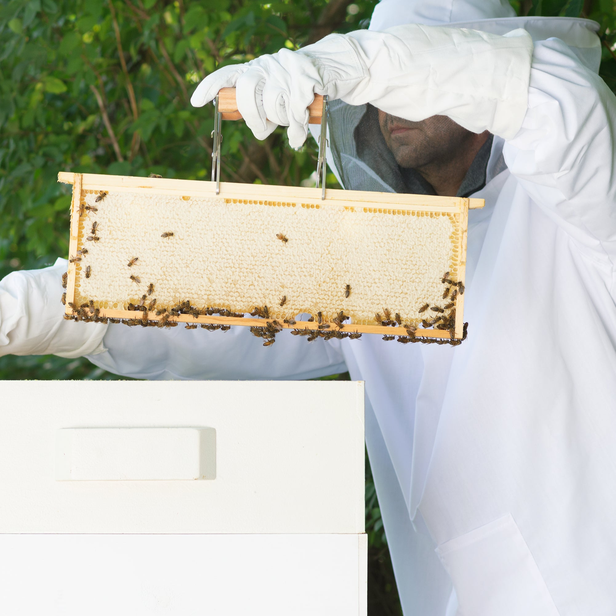XXL Beekeeping Jacket - Professional Beekeeping Suit with Veil - Durable Protective Beekeeping Gear for Beekeepers - Perfect for Hive Inspection & Honey Harvesting