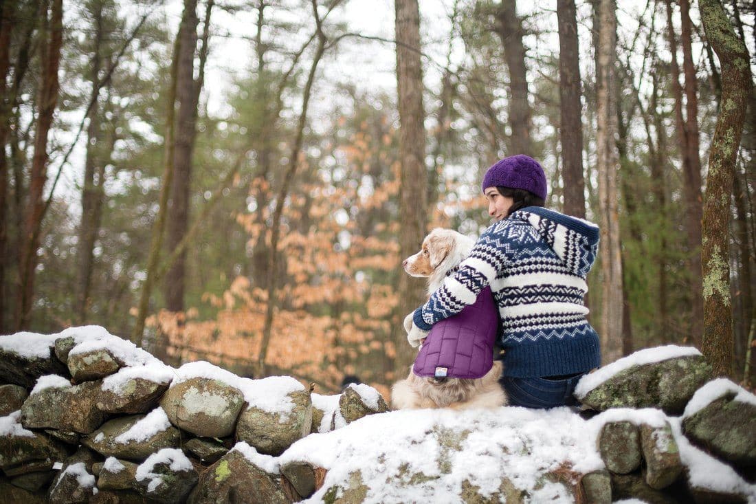 Reversible Waterproof Dog Jacket - Purple/Grey - All-Weather Protection for Outdoor Adventures, Walks & Cold Weather