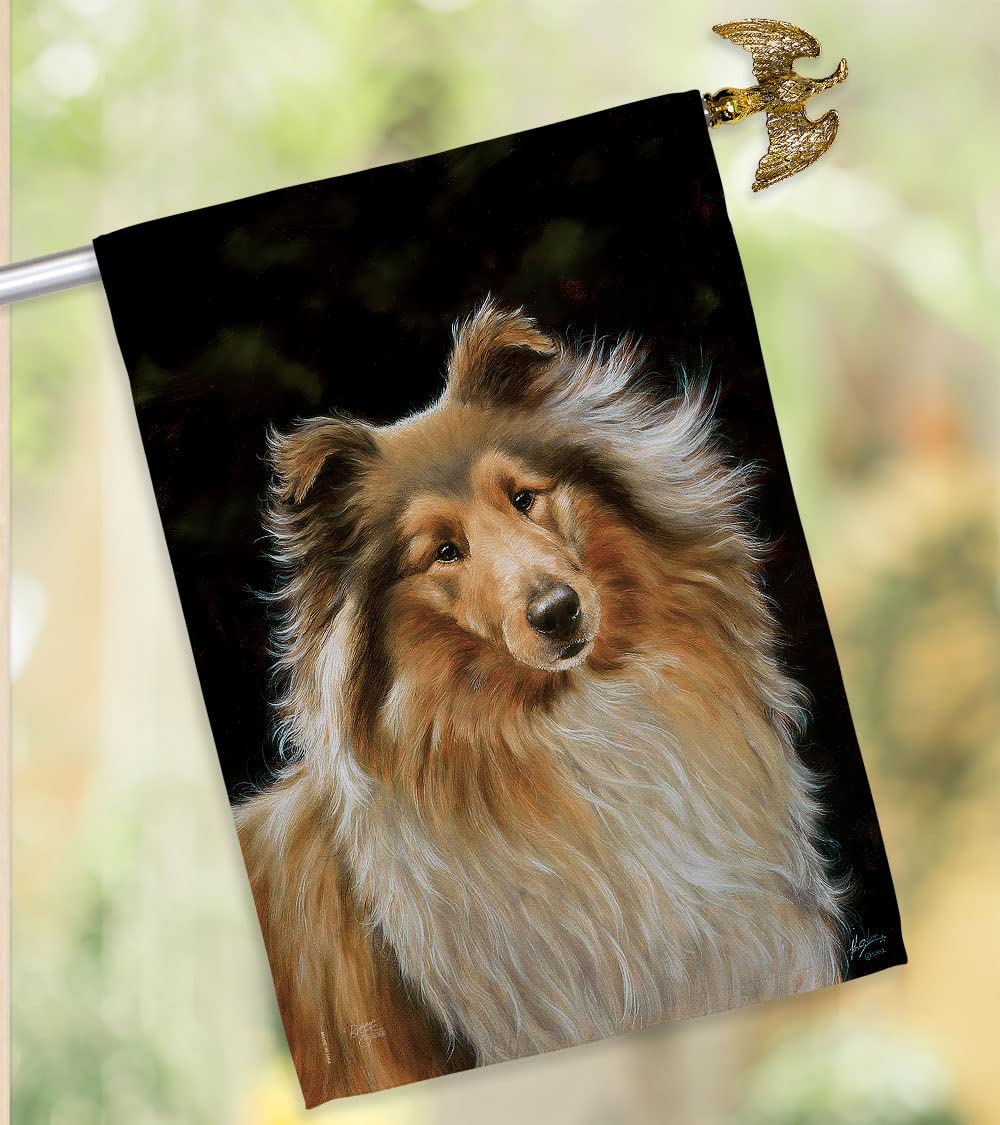 Collie Pet House Flag Set 28x40