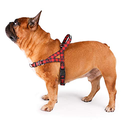 Red Grid Harness