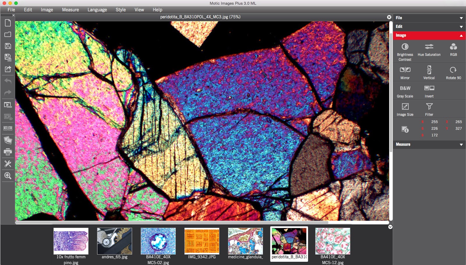 Motic Images Plus 3.1 Advanced Digital Microscope Software with USB Dongle - Professional Microscopy Imaging for Research, Education & Lab Analysis