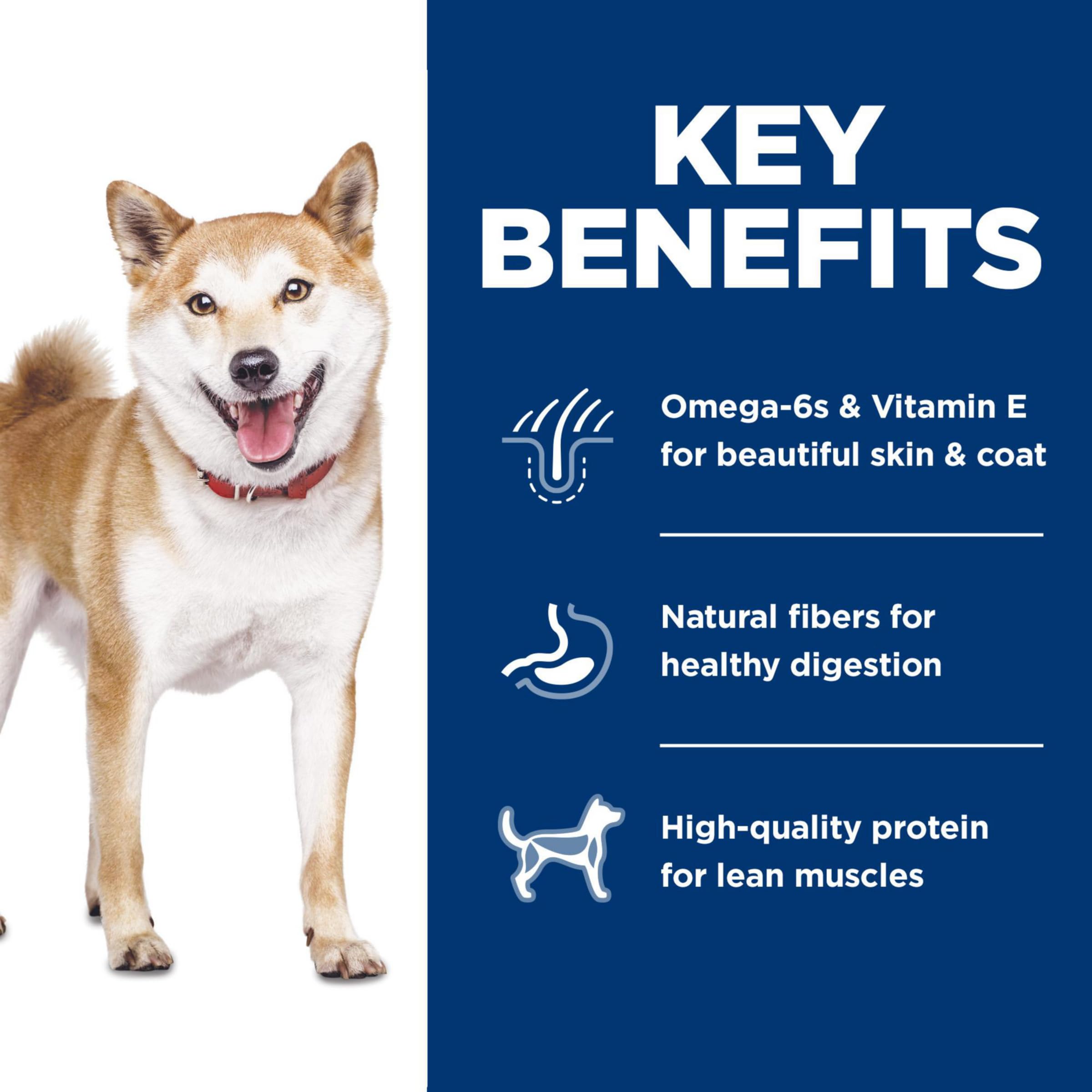 Hill's Science Diet Adult 1-6 Dry Dog Food - Premium Nutrition with Chicken & Brown Rice - No Corn, Wheat or Soy - 15 lb Bag - Perfect for Adult Dogs' Daily Meals & Healthy Growth