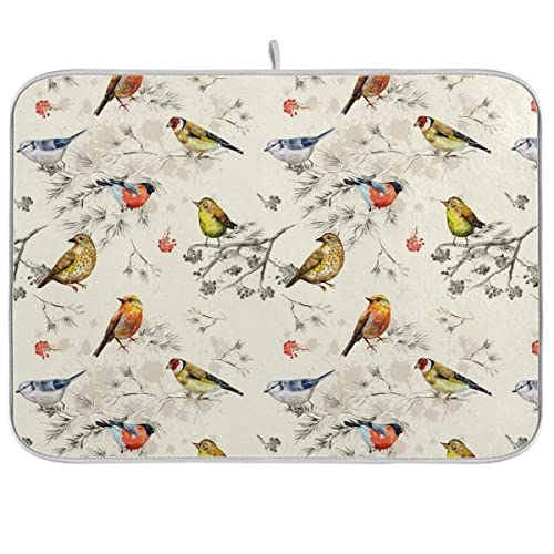 Birds Colorful Vintage