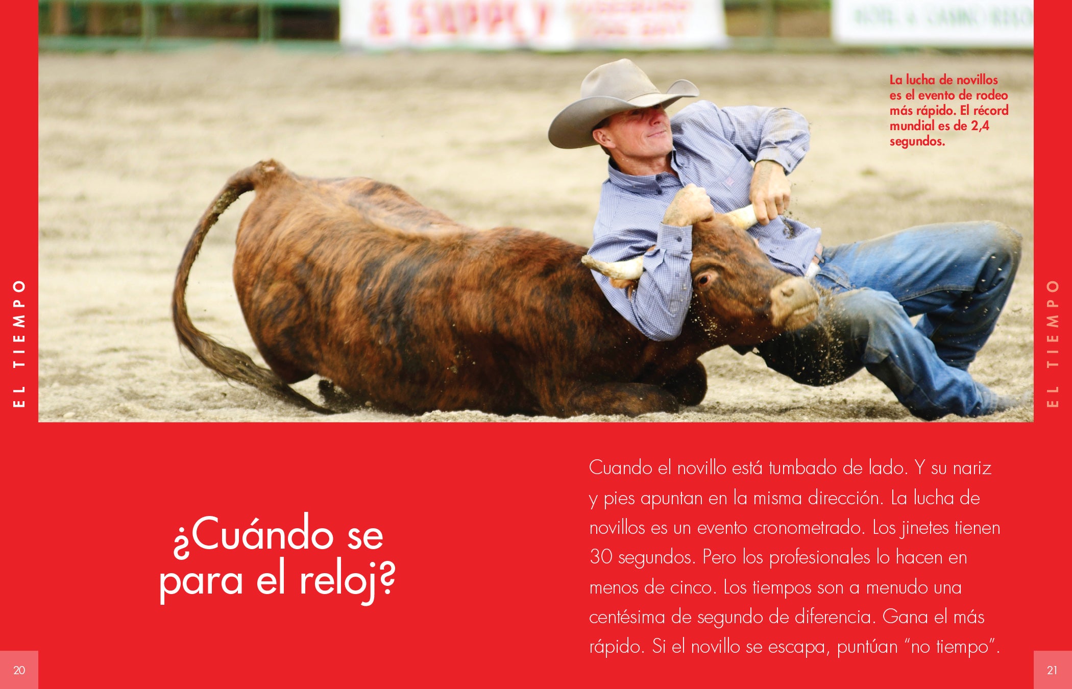 Bullfighting Curiosity - Traditional Spanish Bullfighting Souvenirs & Collectibles for Fans and Enthusiasts | Perfect for Home Decor, Gift Giving, and Cultural Displays
