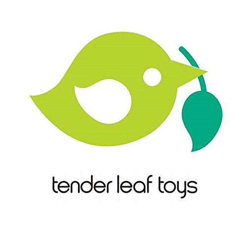 Tender Leaf Toys Cosmic Rocket Set - 11 Piece Wooden Space Rocket Playset for Kids Ages 3+ | STEM Learning Toy for Imaginative Play & Science Exploration | Perfect for Birthday Gifts & Preschool Education