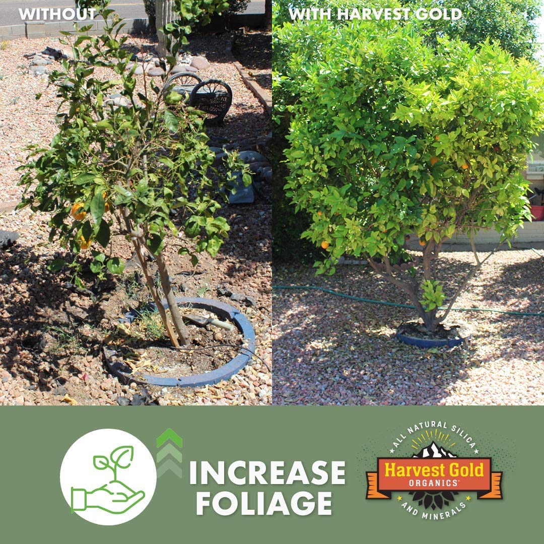 Premium Organic Soil Conditioner for Houseplants, Flowers, Vegetables & Trees - Natural Silica & Micronutrients Enriched (5 Gallon Bucket) - Ideal for Indoor Gardening, Outdoor Landscaping & Organic Farming