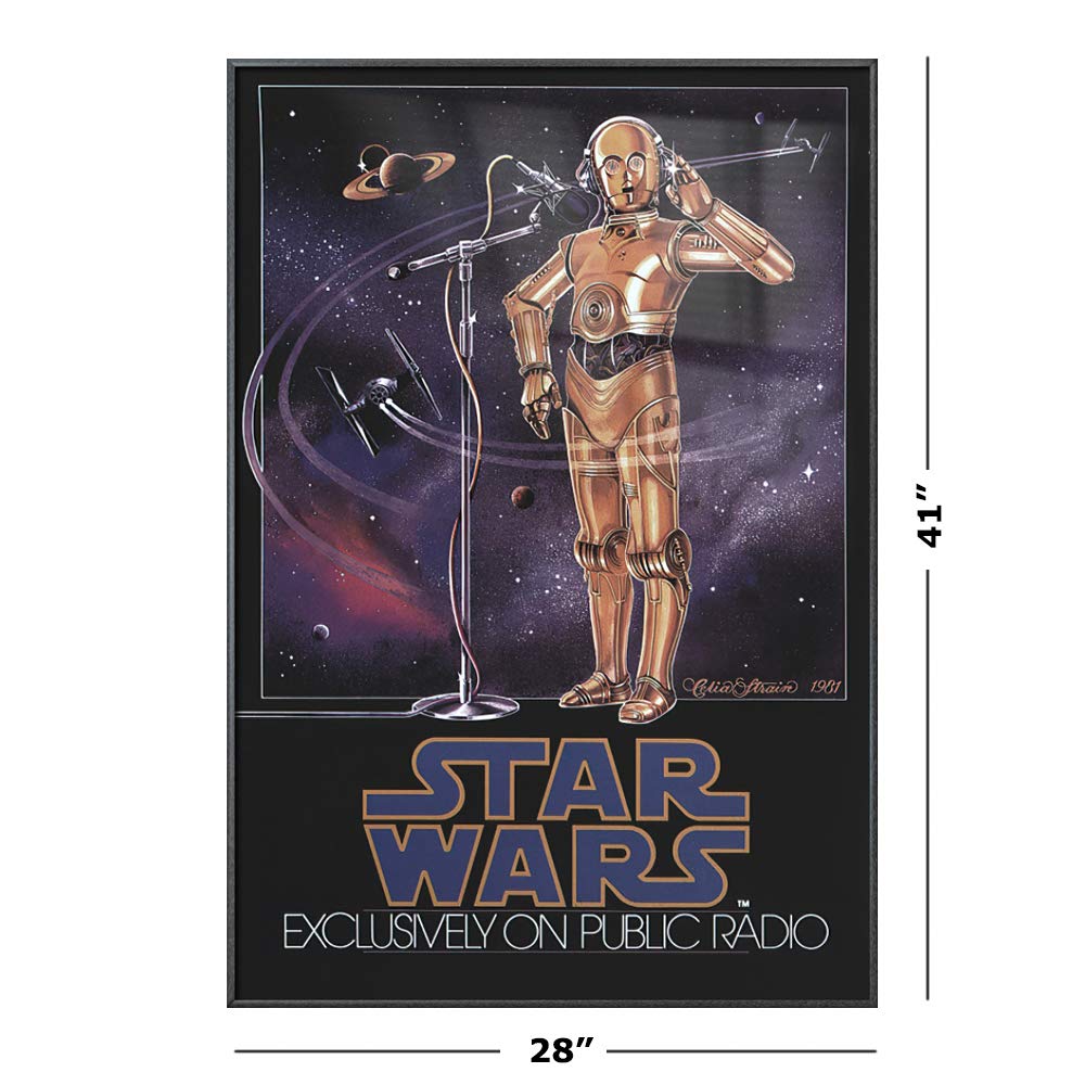 Star Wars Episode IV A New Hope Framed Movie Poster - 27