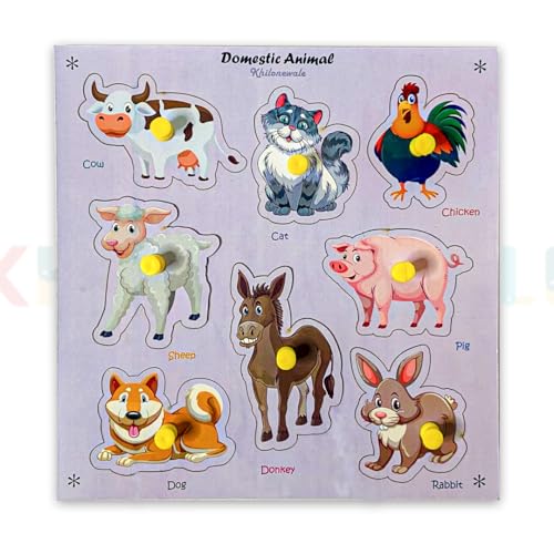 Domestic Animal