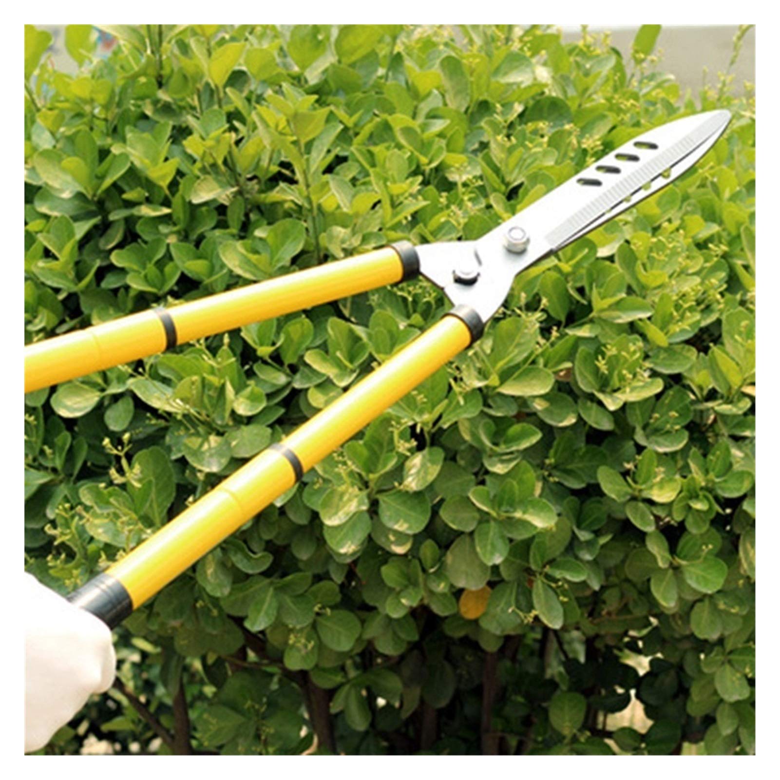 Professional Hedge Clippers & Extendable Pruning Shears - Sharp Gardening Scissors for Trimming Trees, Flowers, Shrubs | Perfect for Landscaping, Garden Maintenance & DIY Projects