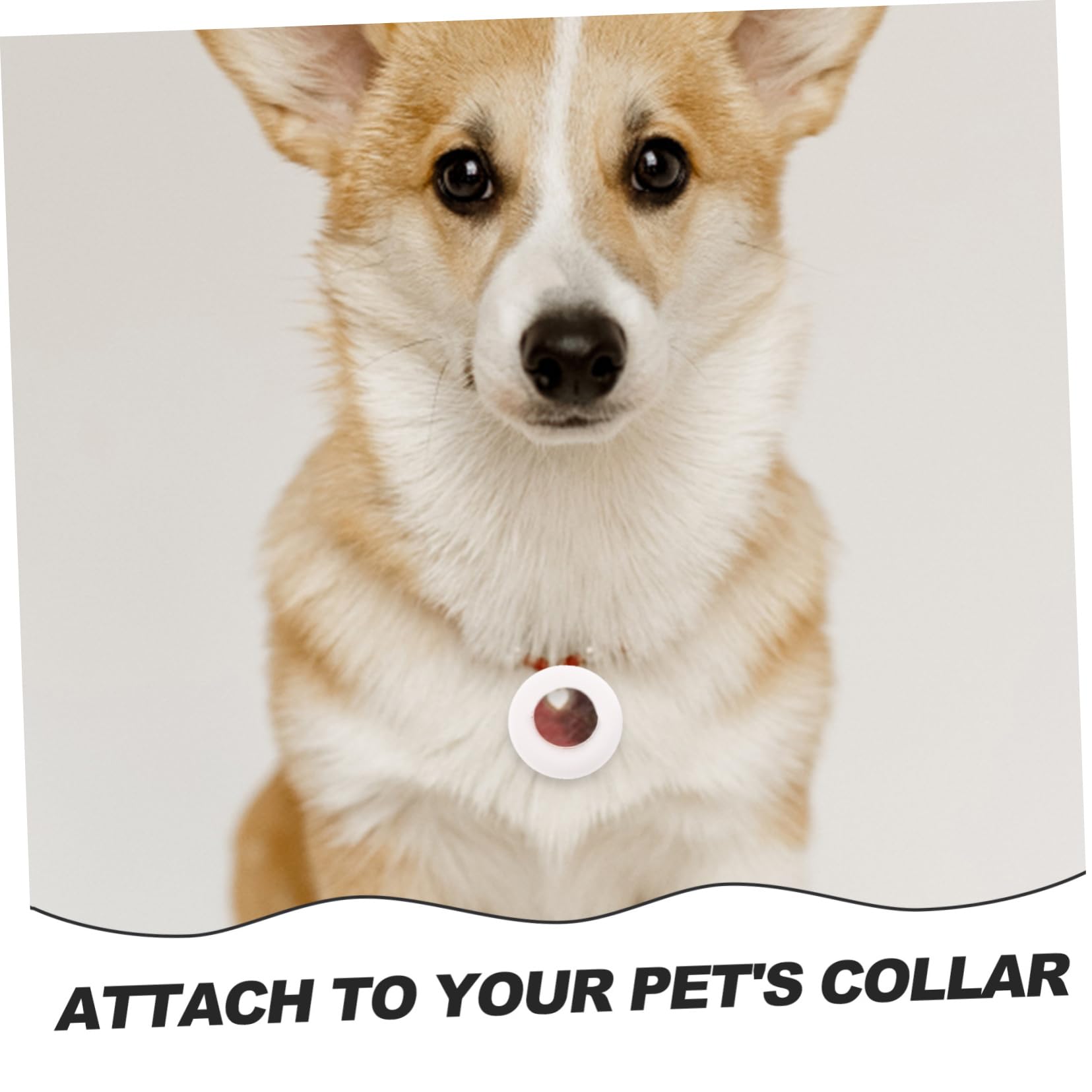Durable Pet Protective Collar Cover - Adjustable & Comfortable Pendant Track Case for Dogs & Cats - Perfect for Travel, Training, and Daily Use