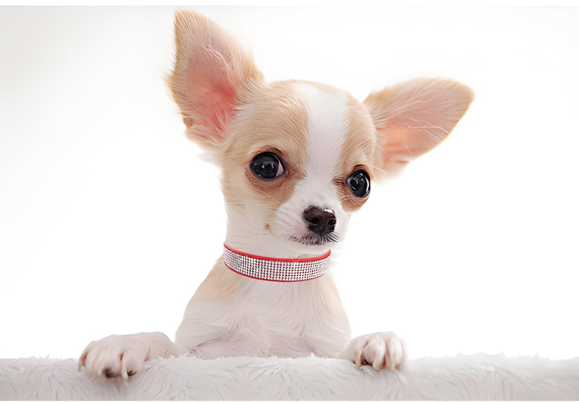 Sparkly Rhinestone Dog Collar for Small Medium Large Dogs - Adjustable Diamond Pet Collar for Puppies, Cats & Pets - Perfect for Daily Walks, Grooming & Special Occasions