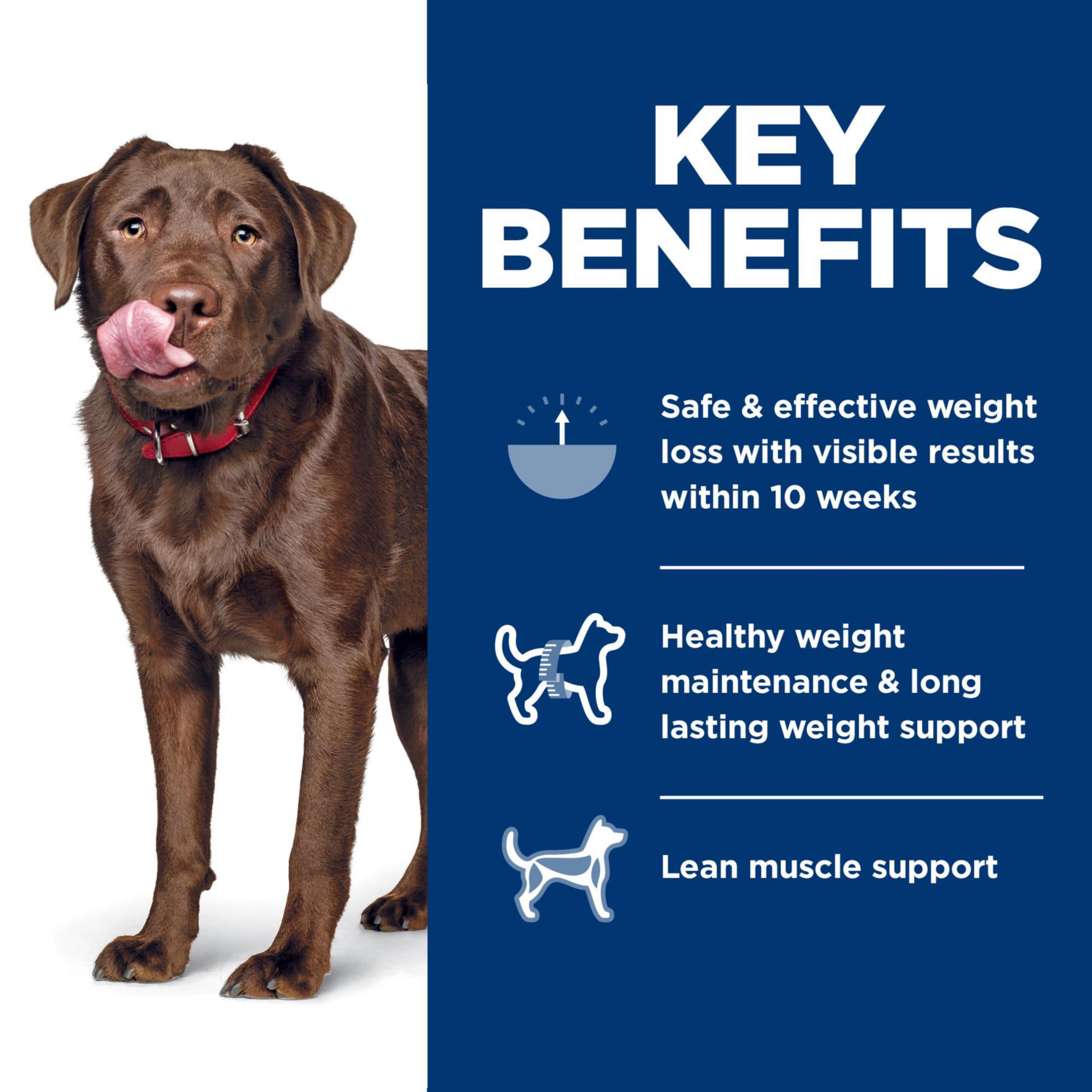 Hill's Science Diet Perfect Weight Dry Dog Food for Large Breed Adults 1-5 Years - Chicken Recipe, 25 lb Bag - Weight Management Support for Healthy Lifestyle