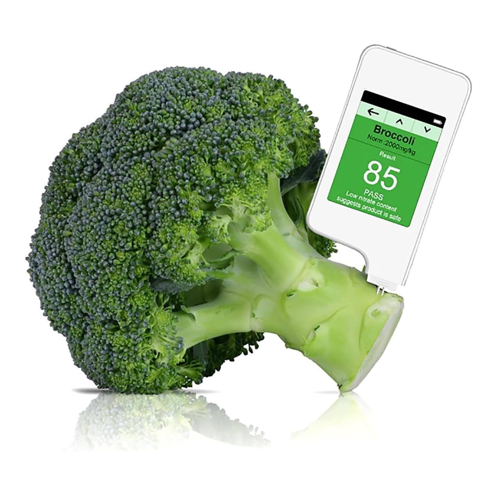 Digital Nitrate Tester for Food - Water TDS PPM Meter with Geiger Radiation Detector - Accurate Testing for Fresh Meat, Fruits, Vegetables - Perfect for Home Kitchen, Organic Farming & Food Safety Inspection