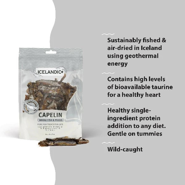 Premium Icelandic Capelin Whole Fish Cat Treats - Natural, High-Protein Snack for Cats - Perfect for Training, Rewards & Dental Health