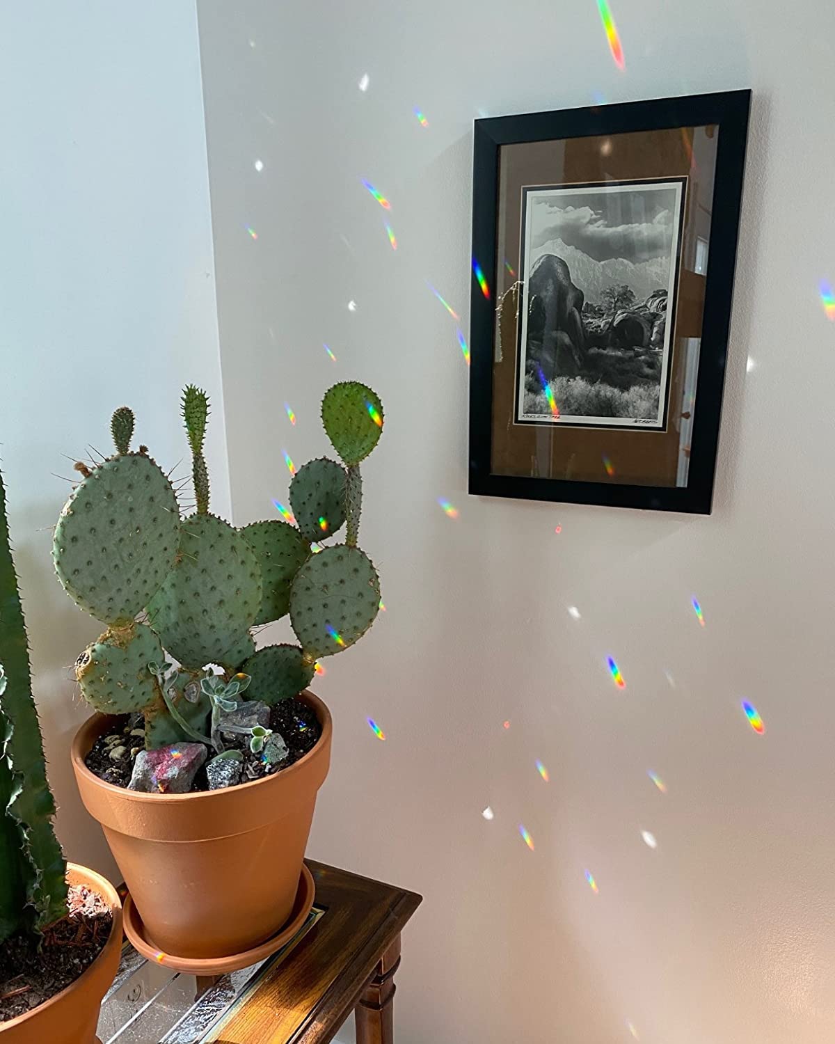 Rainbow Window Prism Suncatcher - Crystal Hanging Pendant for Windows - Creates Stunning Rainbow Light Effects - Perfect for Home Decor, Meditation Rooms & Gift Giving