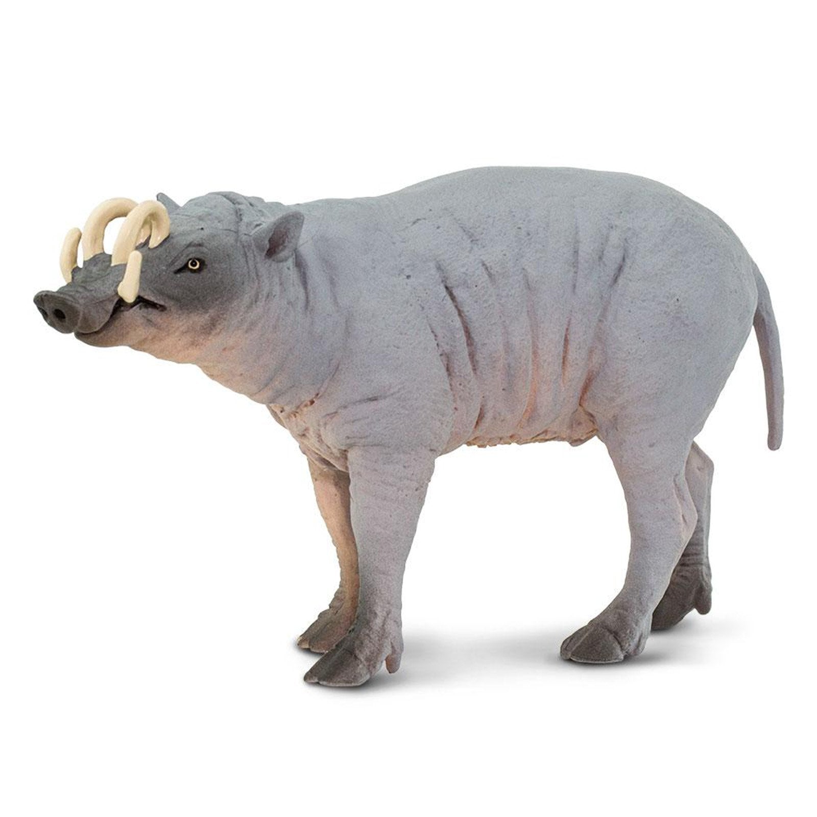 Safari Ltd Babirusa Animal Figure - Realistic Wild Boar Toy for Kids, Collectors & Educational Play - Perfect for Jungle Adventures & Animal Lovers