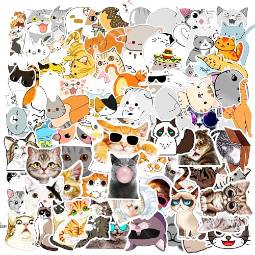 Cat Stickers Meme