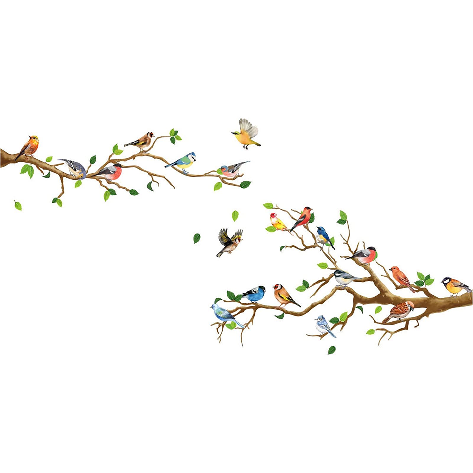 Colorful Removable Bird Wall Decals - Nursery Decor, Kids Room Stickers, Home Art Mural for Bedroom, Living Room & Garden Party Decorations - Perfect for Baby Shower Gifts & DIY Home Interior Design