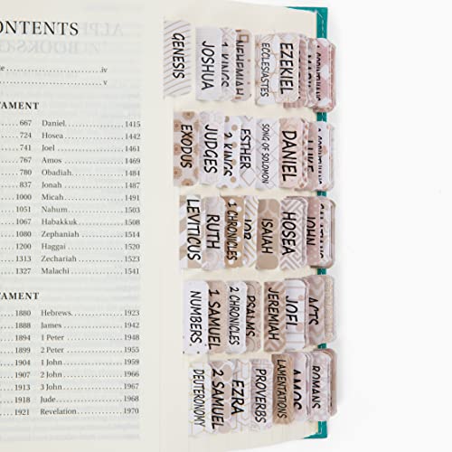 Catholic Bibles