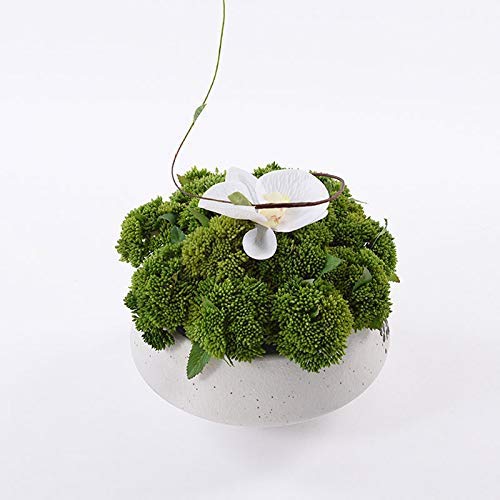 Artificial Bonsai Tree - Chinese Style Fake Green Plant for Home Decor, Hotel Lobby, Bay Window & Porch - Mini Potted Desktop Decoration for Office & Living Room