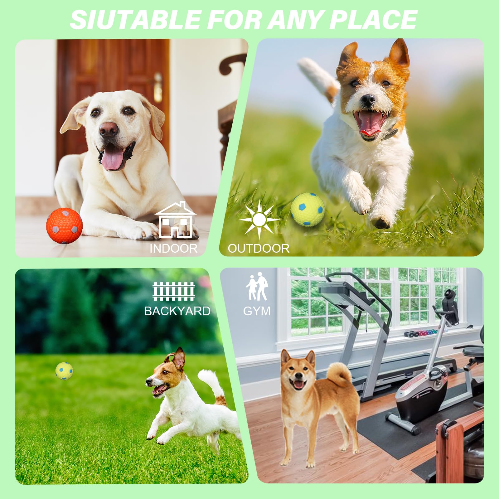 Automatic Dog Ball Launcher for Small to Medium Dogs - Interactive Pet Toy with Remote Control & 3 Tennis Balls (Purple) - Perfect for Backyard Play, Training, and Exercise