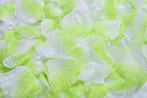 Light Green and White