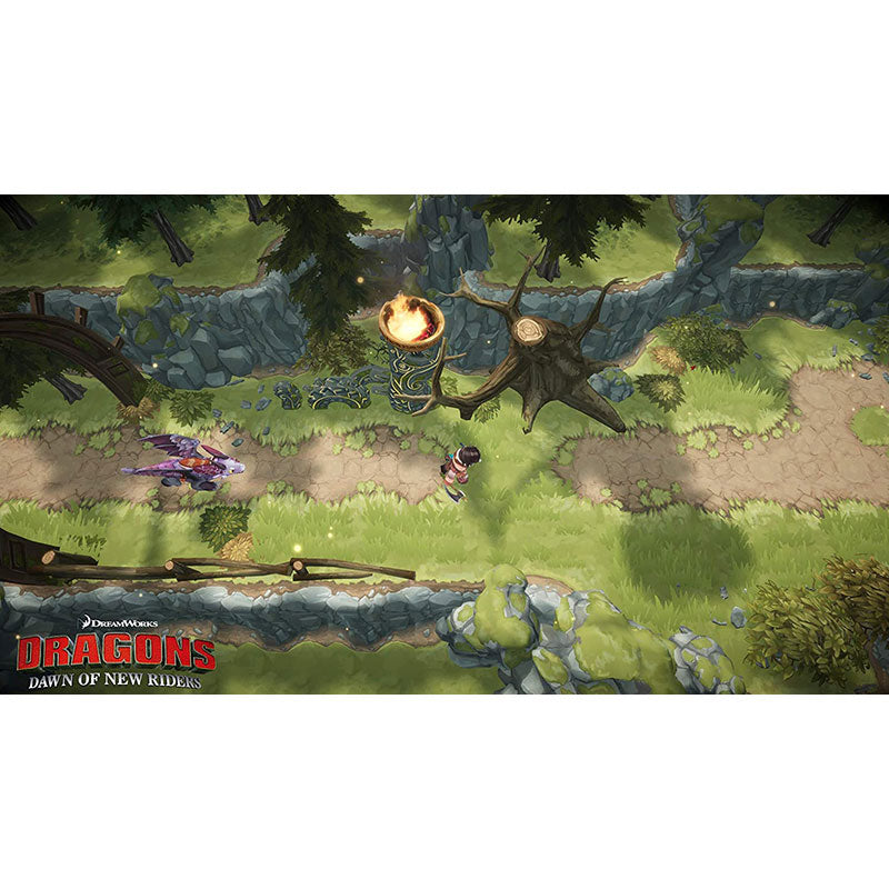 PS4 Game Dragons Dawn of New Riders - North America Version | Action-Adventure RPG for PlayStation 4 | Perfect for Fantasy Gaming Enthusiasts & Dragon Lovers