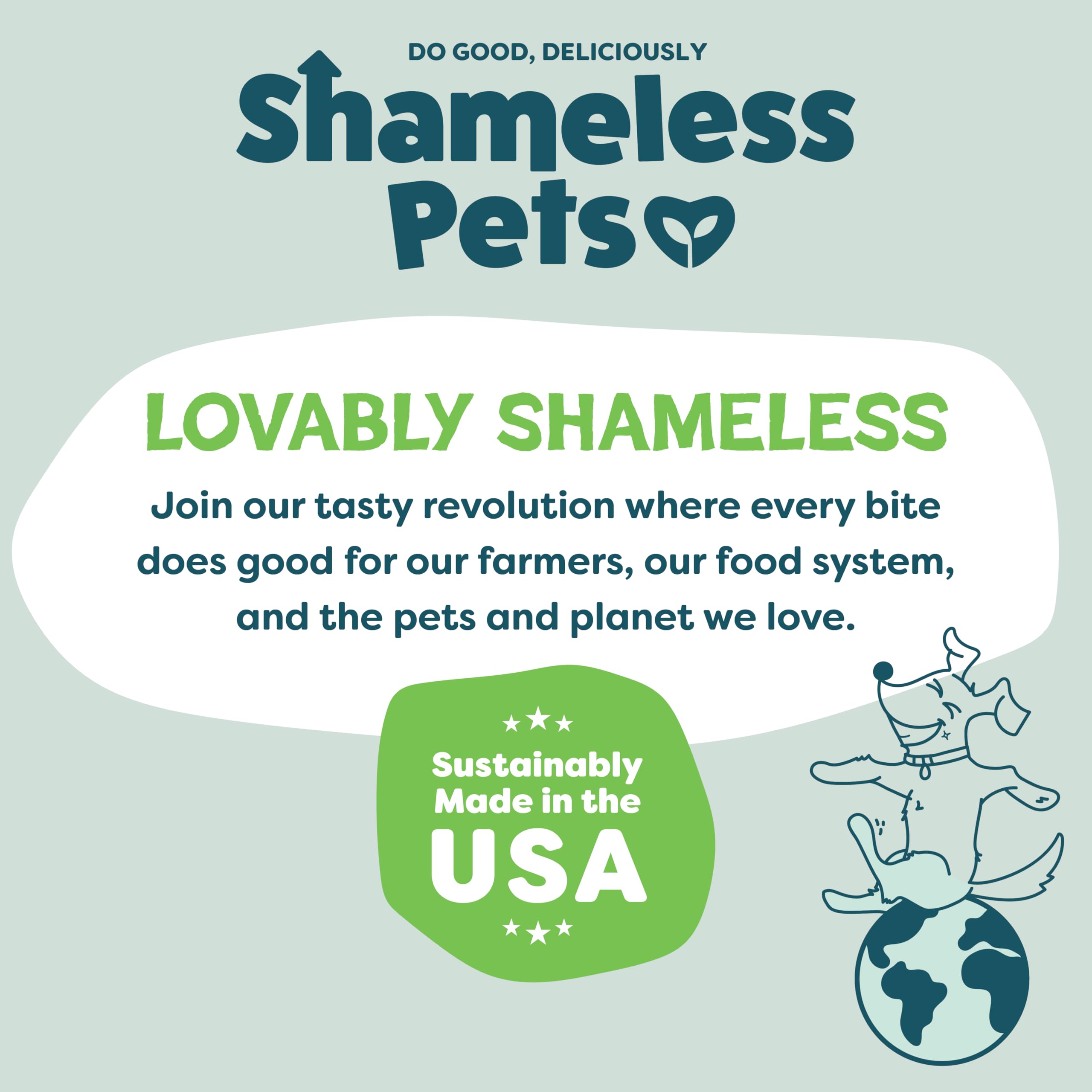 Shameless Pets Crunchy Dog Treats - Party Mix Variety, 10oz | Healthy Natural Dog Biscuits & Cookies for Small, Medium, Large Breeds | Grain-Free, Corn & Soy Free | Made in USA | Perfect for Training Rewards, Birthday Parties & Everyday Snacks