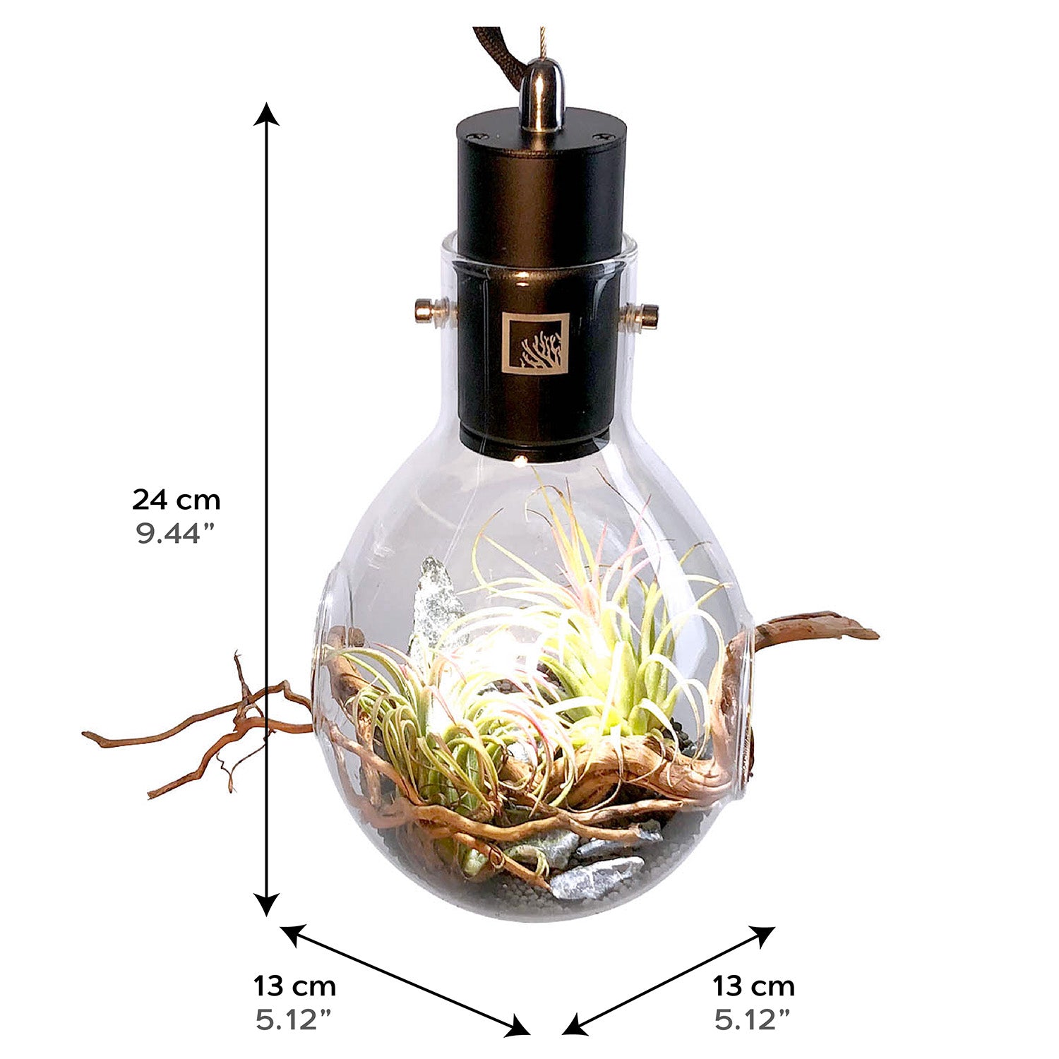 SR Aquaristik Small Hanging Luminarium Terrarium - Mini Glass Plant Terrarium for Home & Office Decor, Perfect for Succulents, Air Plants & Fairy Gardens