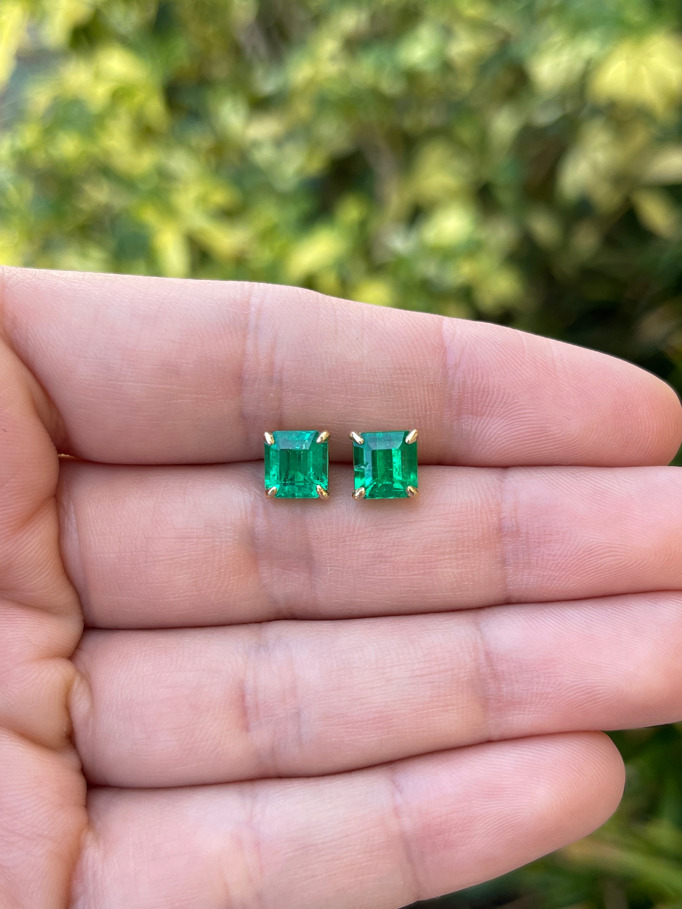 3.18tcw 7x7 AAA+ Muzo Green Asscher Cut Colombian Emerald Stud Earrings in 18K Gold - Perfect for Weddings, Anniversaries & Special Occasions