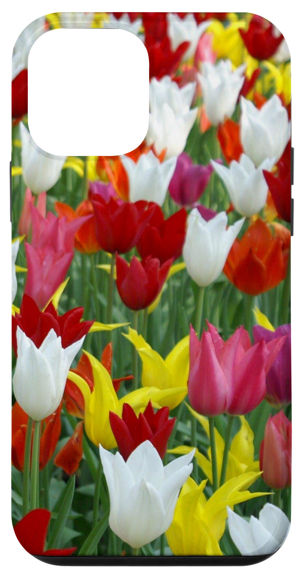 iPhone 12 Mini Holland Tulips Case - Premium Floral Phone Cover for iPhone 12 Mini - Perfect for Spring, Travel & Gift Giving