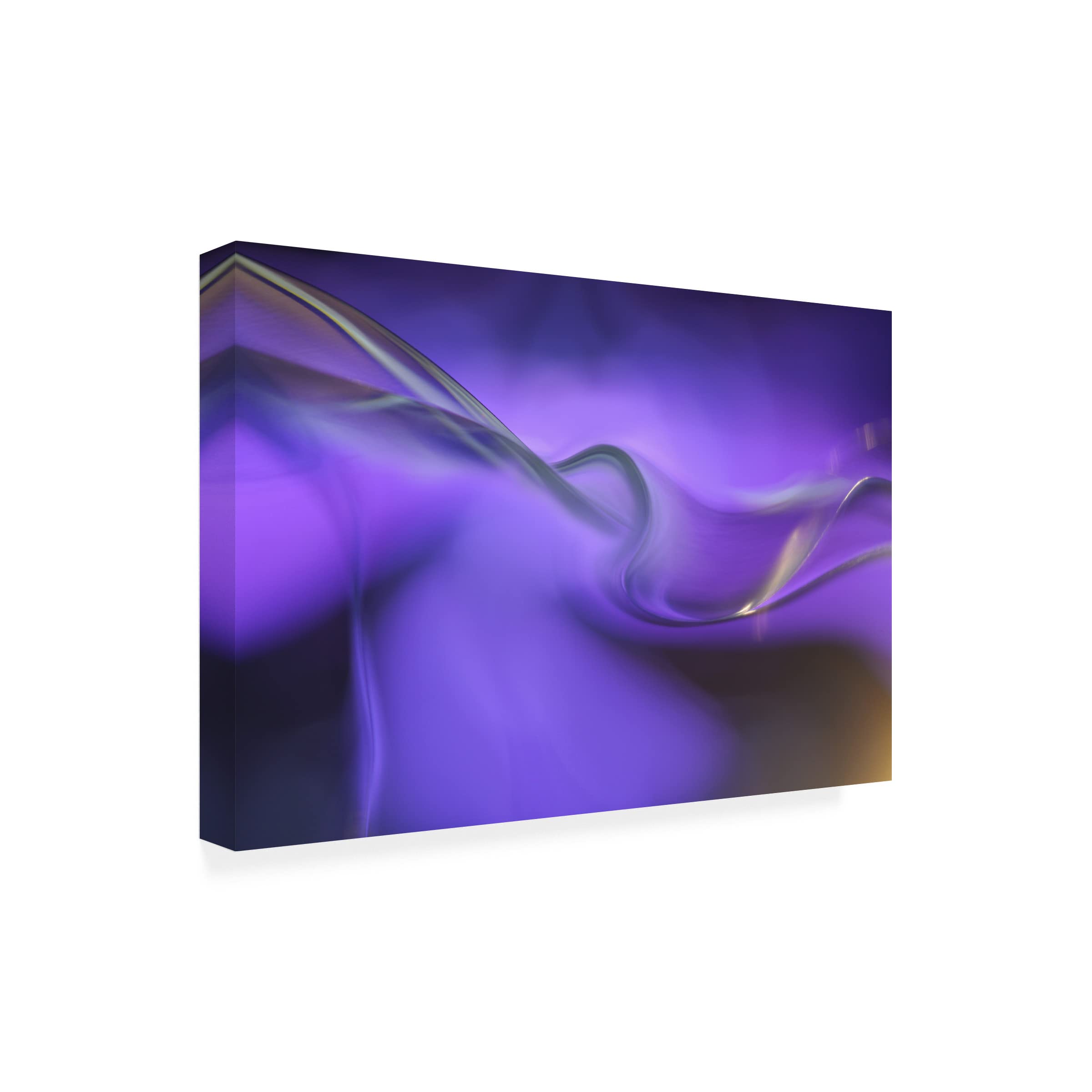 Heidi Westum 'Shapes Of Purple' Abstract Canvas Wall Art - Modern Home Decor for Living Room, Bedroom & Office
