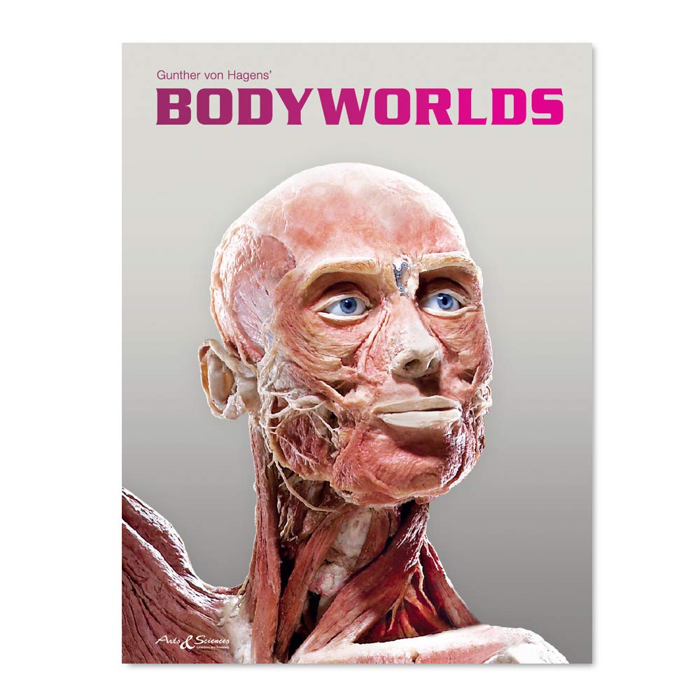 BODY WORLDS: The Original Exhibition of Real Human Bodies - Educational Anatomy Display for Medical Students & Science Enthusiasts