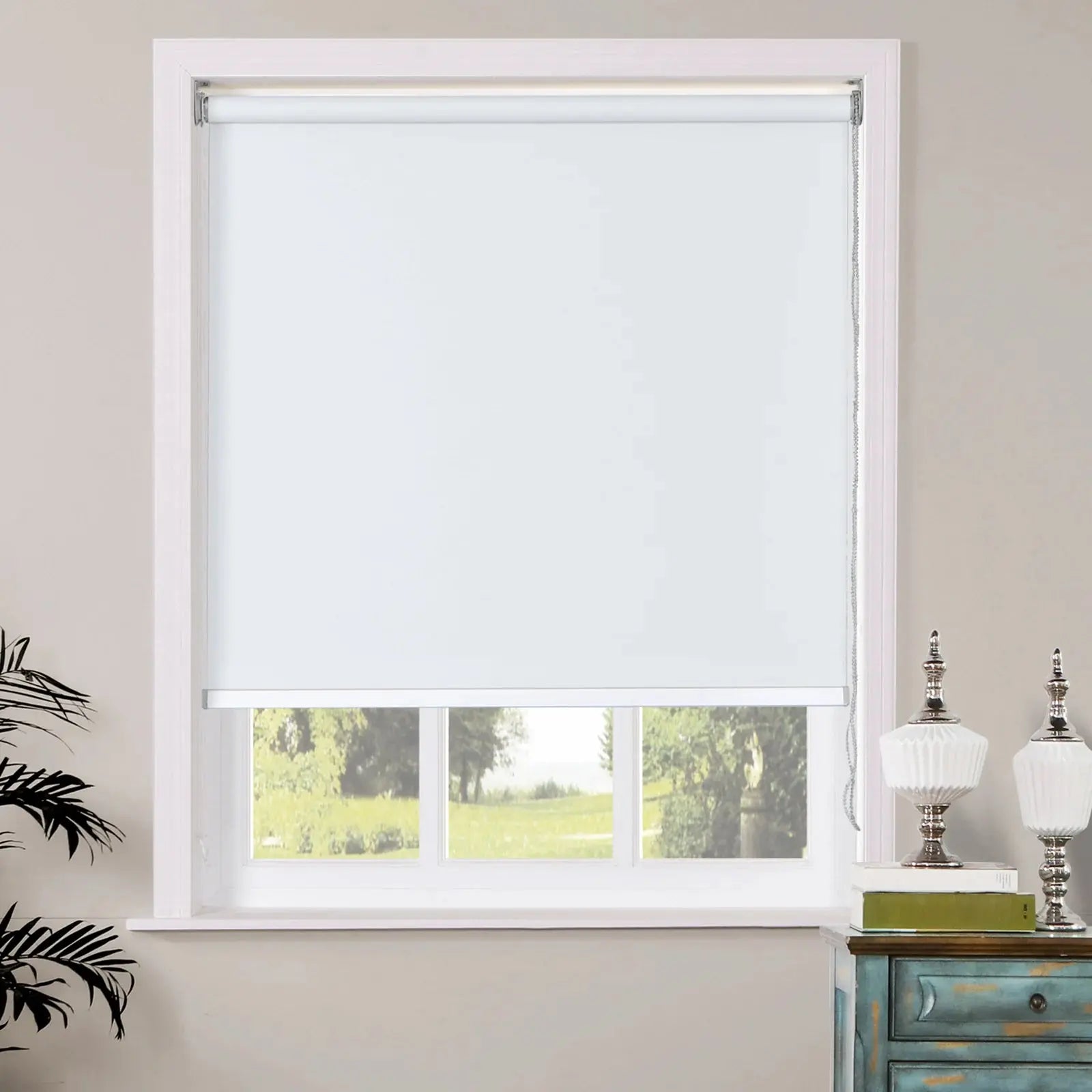 White 323.03081