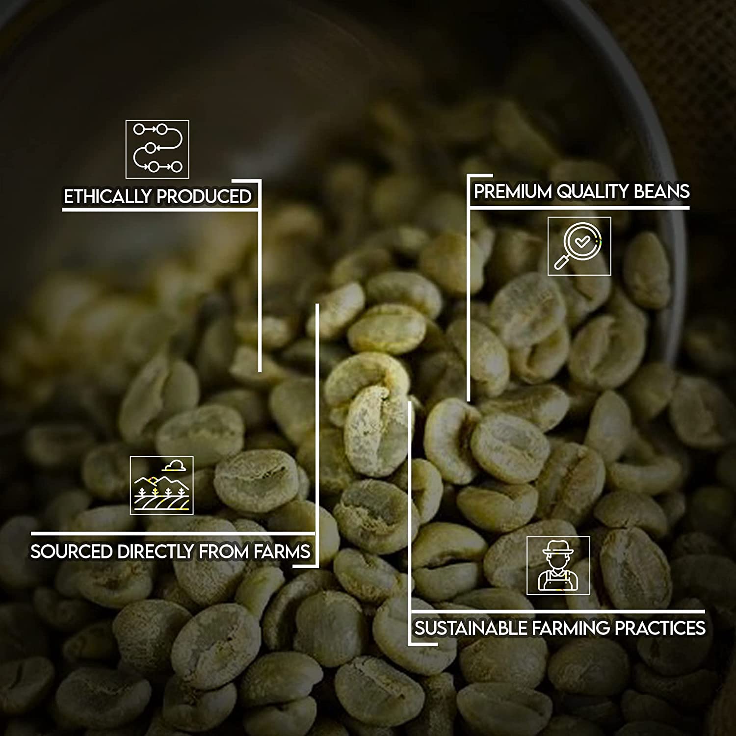 Premium Unroasted Brazilian Arabica Coffee Beans - Single Origin, Non-GMO, Direct Trade - 2 LB Bag for Home Roasting - Perfect for Espresso, French Press & Cold Brew